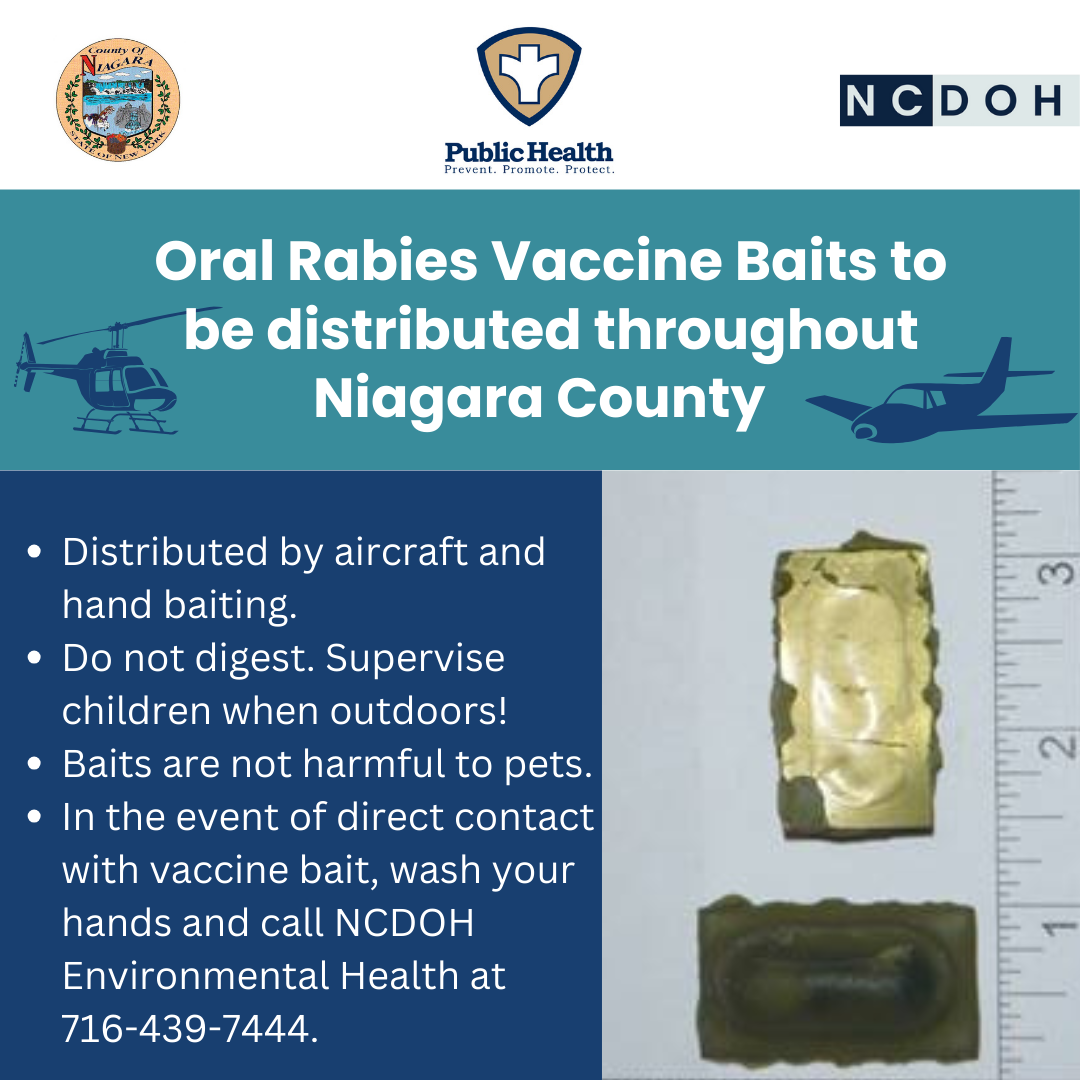 NCDOH Joins Cooperative Effort to Wipe out Terrestrial Rabies, Oral ...